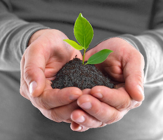 Weiterbildung Weiterbildung